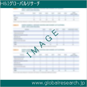 グローバルリサーチ調査レポートのイメージ